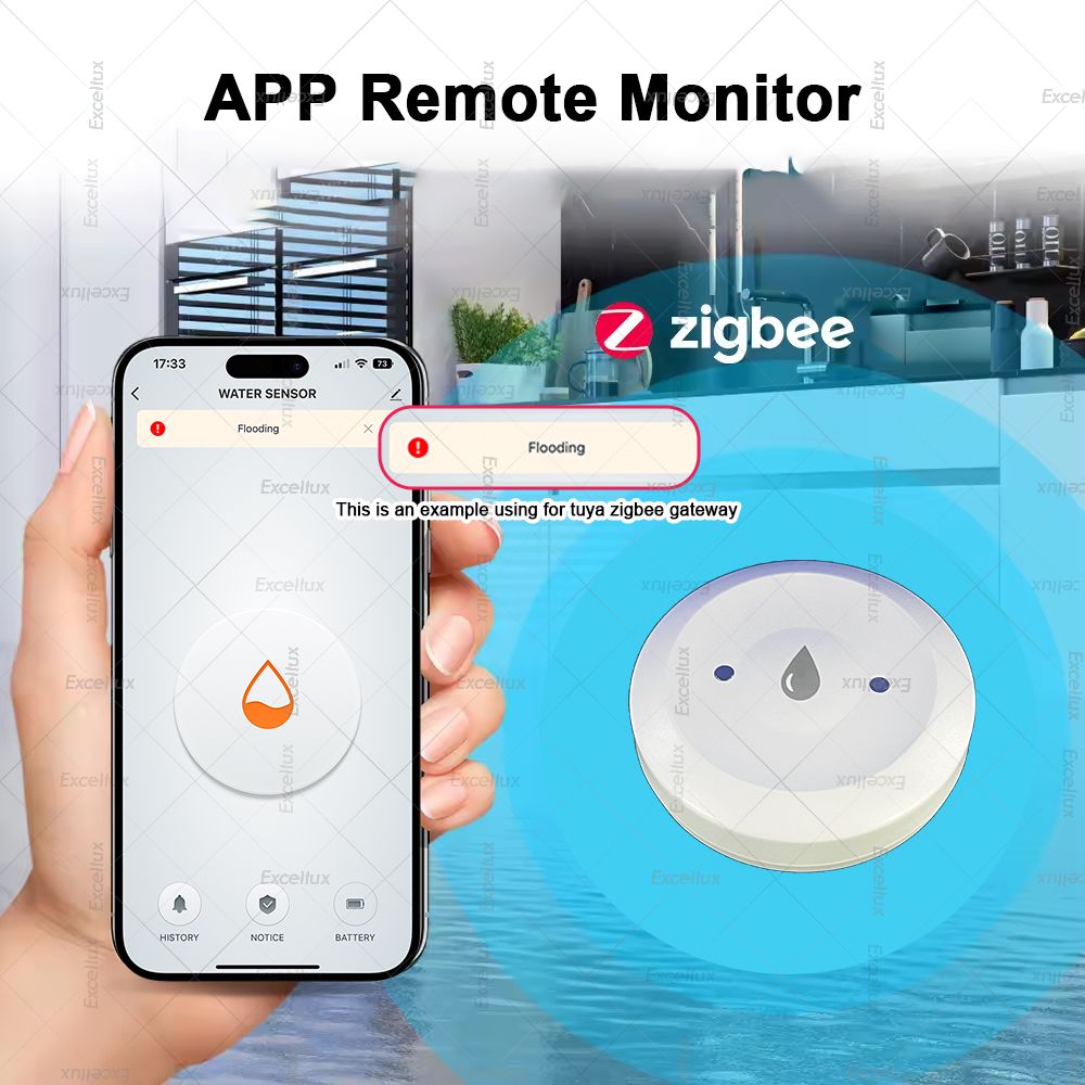 Zigbee Water Detector Leakage  - Smart Home Setup reseña y precio