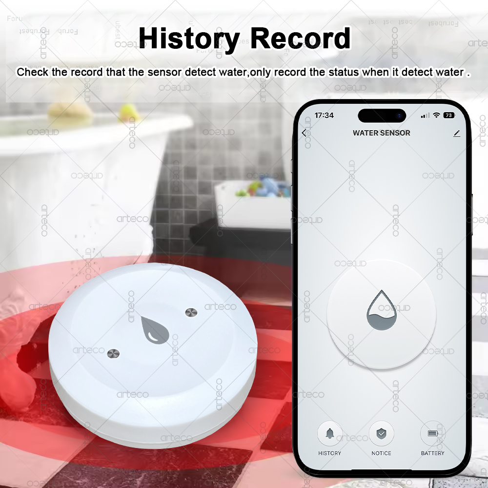 Tuya Smart Zigbee Water Sensor - Smart Home Setup reseña y precio