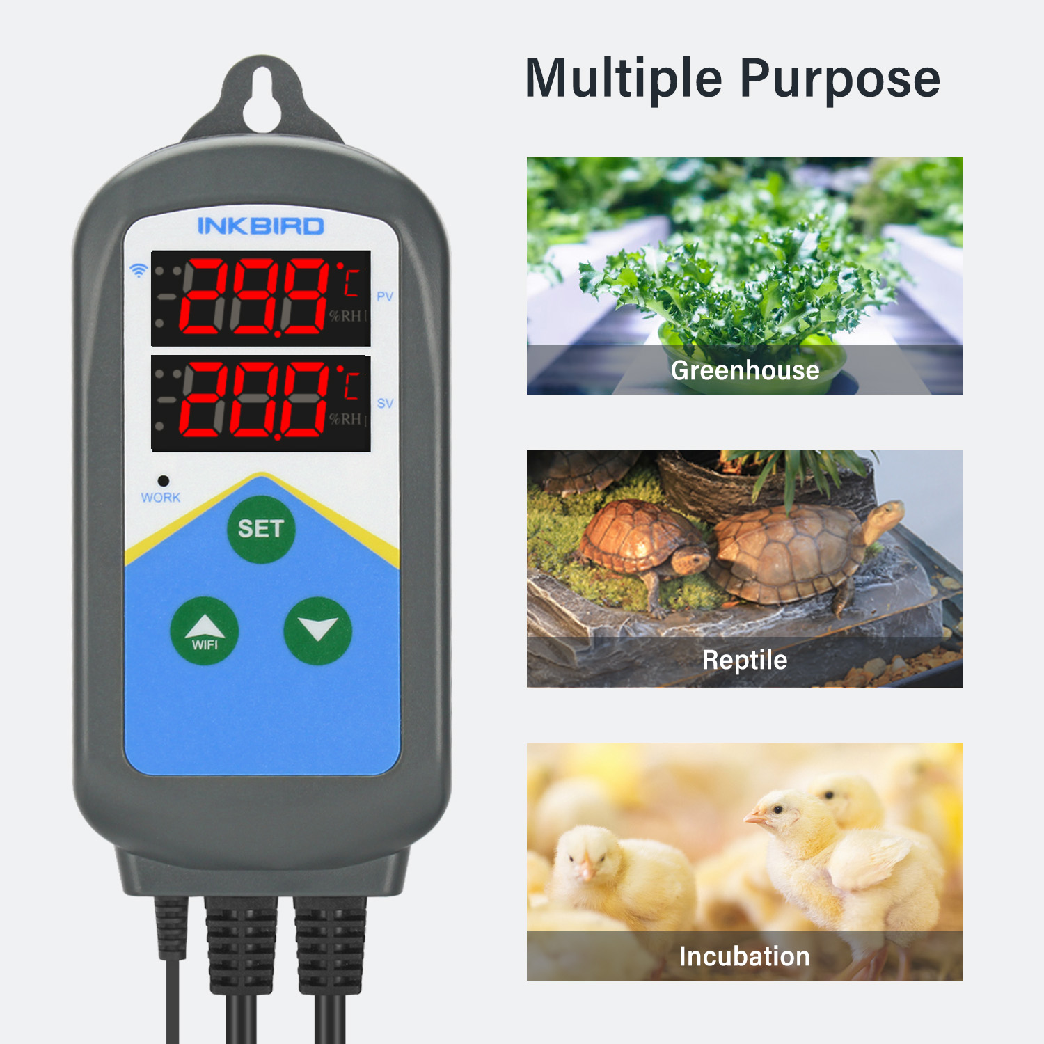 INKBIRD WIFI Thermoregulator I - Wifi Thermostat reseña y precio
