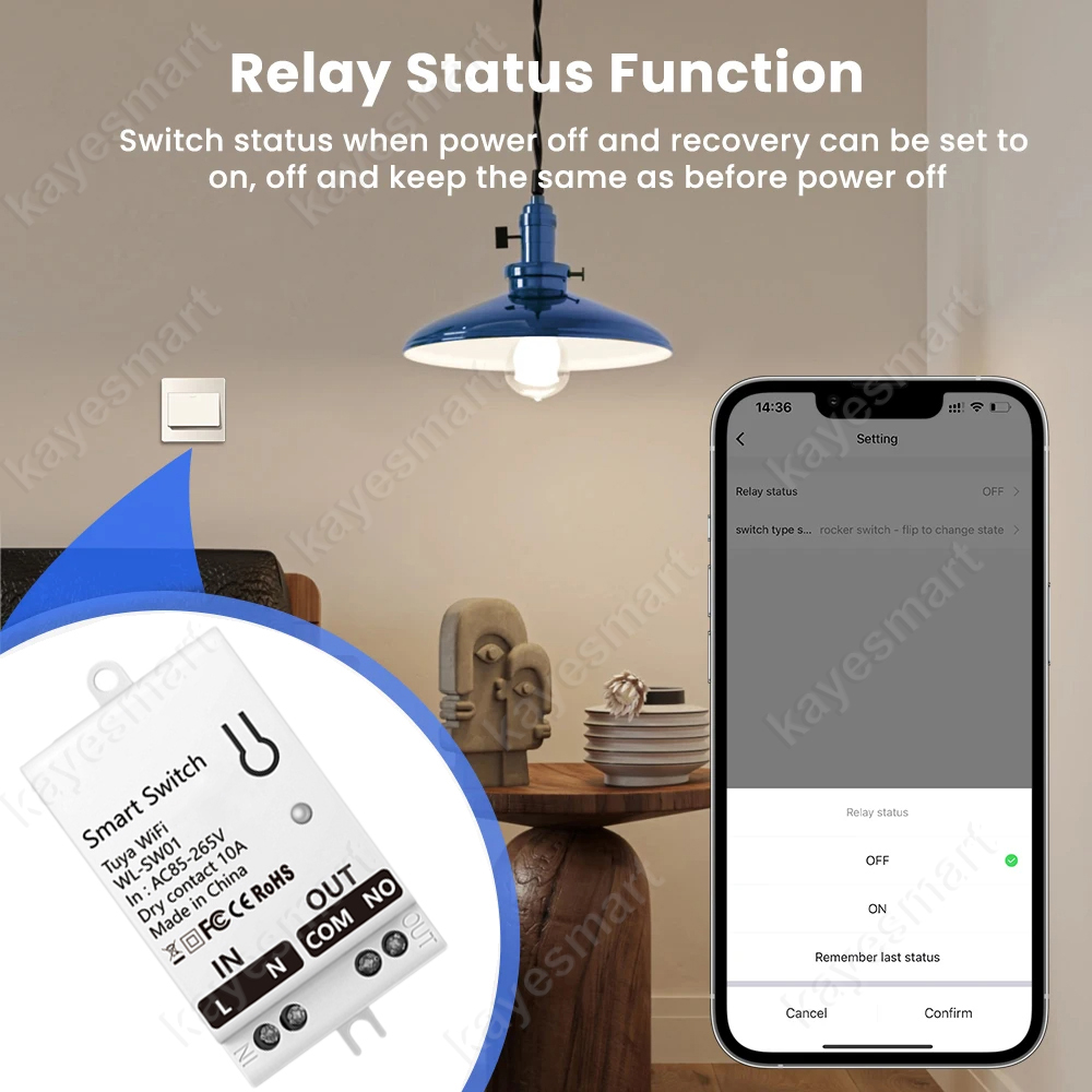 Tuya WiFi Smart Switch Module  - Tuya Smart Switch reseña y precio