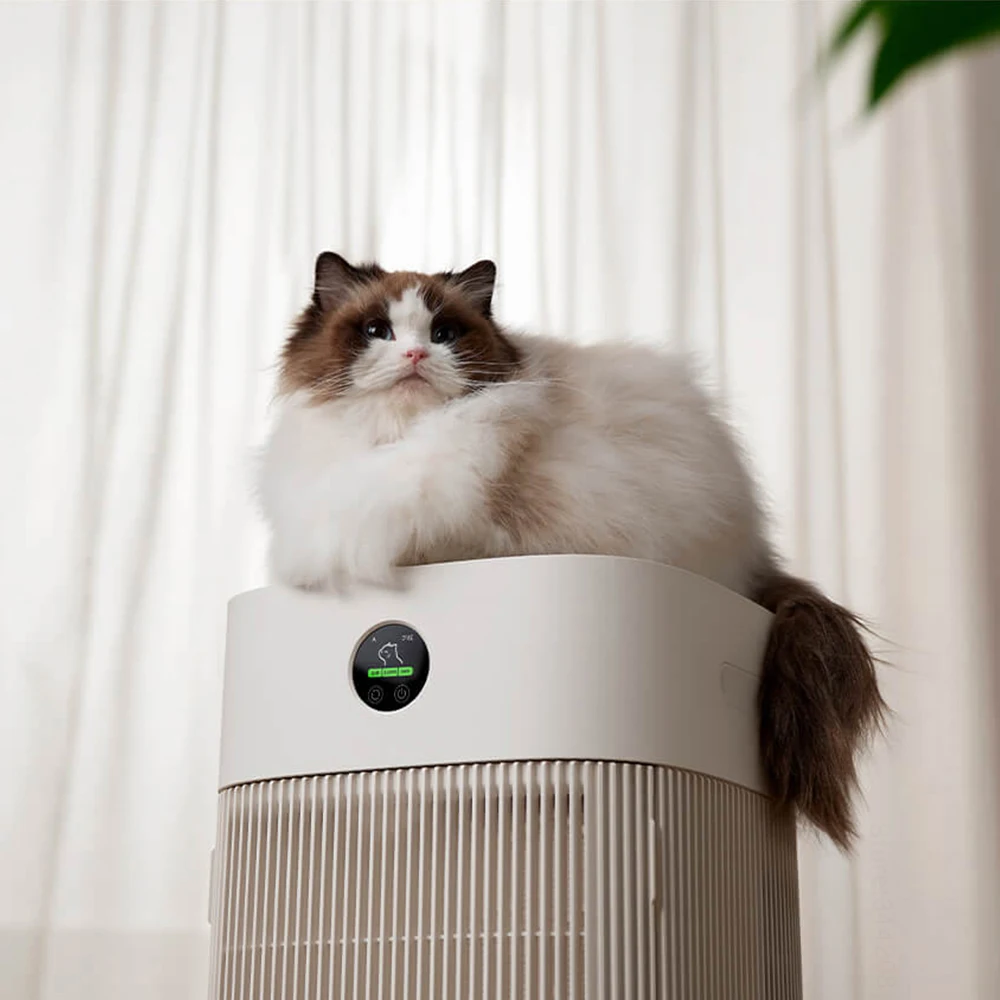 Cats Hair Fast Absorb Dogs Hai - Smart Home reseña y precio